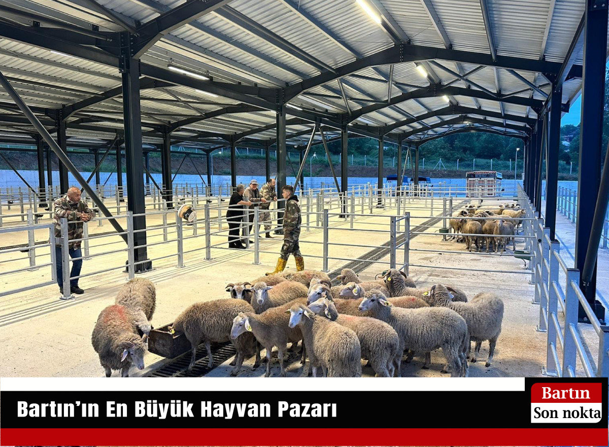 Bartın’ın En Büyük Hayvan Pazarı